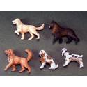 CHIENS  