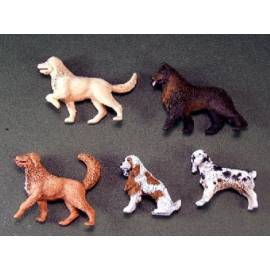 CHIENS  