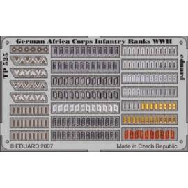 German Africa Korps Infantry Ranks WWII  