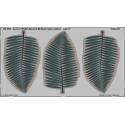  Leaves Palm Howea Belmoreana colour