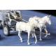  HF.7 Stahlfeldwagen (German Horse drawn Wagon  + 2 figures) 