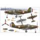  P-39N/Q Airacobra