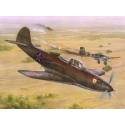 P-39N/Q Airacobra Soviet Guard Regiment