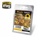 MAPLE – AUTUMN