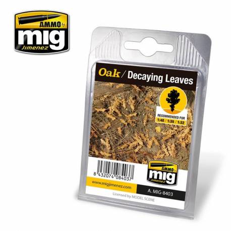 OAK - DECAYING LEAVES