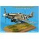 NORTH AMERICAN P-51D MUSTANG FIGHTER