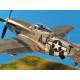 NORTH AMERICAN P-51D MUSTANG FIGHTER