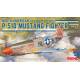NORTH AMERICAN P-51D MUSTANG FIGHTER