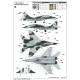 Russian MiG-29UB Fulcrum