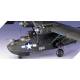 PBY-5A CATALINA "BLACK CAT"