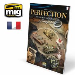 PROCHAIN NIVEAU: PERFECTION - Repousser les limites du 1:72ème (Française)