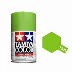 TS-22 Vert clair Brillant