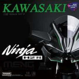 KAWASAKI NINJA H2R (Pre-colored Edition)