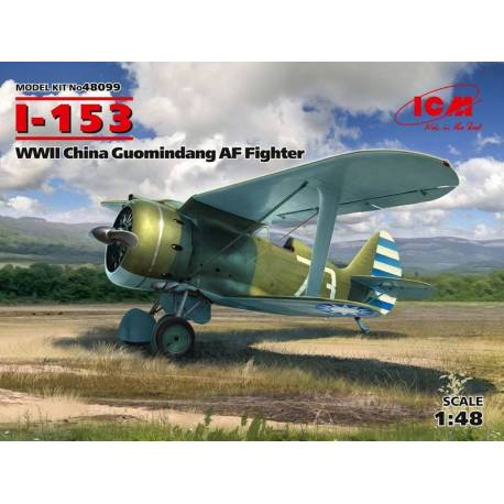 WWII China Guomindang AF Fighter
