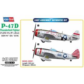 P-47D Thunderbolt Fighter
