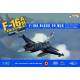 F-16A BLOCK 20 MLU Tiger Meet 2009