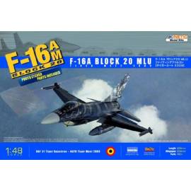 F-16A BLOCK 20 MLU Tiger Meet 2009
