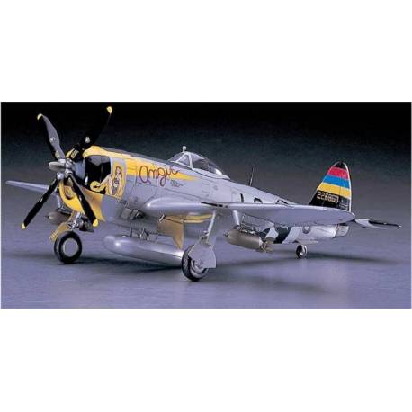 P-47D 25 THUNDERBOLT JT40