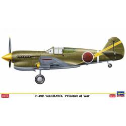 P-40E Warhawk `Prisoner of War`