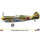 P-40E Warhawk `Prisoner of War`