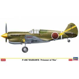 P-40E Warhawk `Prisoner of War`