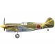 P-40E Warhawk `Prisoner of War`