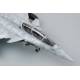 Rafale B Fighter