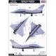 Rafale B Fighter
