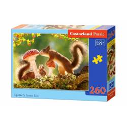 SQUIRREL'S FOREST LIFE