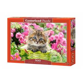 KITTEN IN FLOWER GARDEN