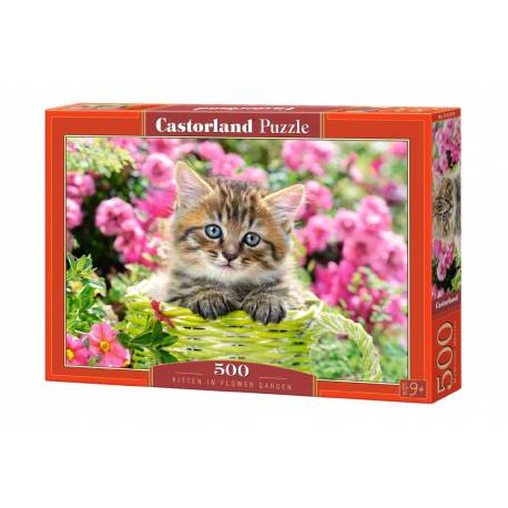 KITTEN IN FLOWER GARDEN