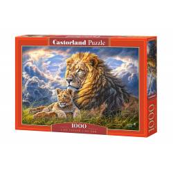 LIKE FATHER LIKE SON