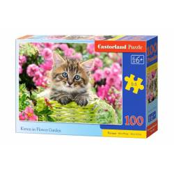 KITTEN IN FLOWER GARDEN