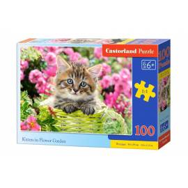 KITTEN IN FLOWER GARDEN