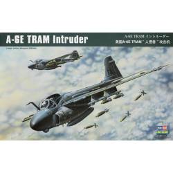 A-6E TRAM Intruder