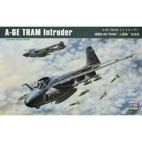 A-6E TRAM Intruder