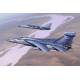 EF-111 Raven