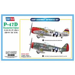 P-47D Thunderbolt Fighter