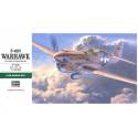 P-40N Warhawk