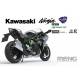 Kawasaki Ninja H2 (Pre-Colored Edition)