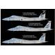 F-15C MSIP II "California ANG 144th FW" Special Edition