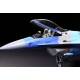 F-16C/N "Aggressor/Adversary"