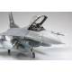 Lockheed Martin F-16C (Block 25/32) Fighting Falcon ANG