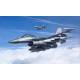 Lockheed Martin F-16CJ (Block 50) Fighting Falcon