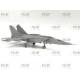 MiG-25PU  Soviet Training Aircraft