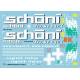 CURTAINSIDE TRAILER "Schoeni.ch"