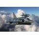Mirage 2000D with dual GBU-12/22