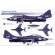 Grumman TF-9J (F9F-8T) Cougar