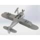 I-153 (winter version)  WWII Soviet Fighter
