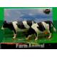 2 vaches debouts 